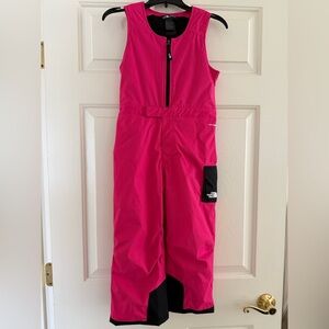 The North Face Fuchsia Snow Bib